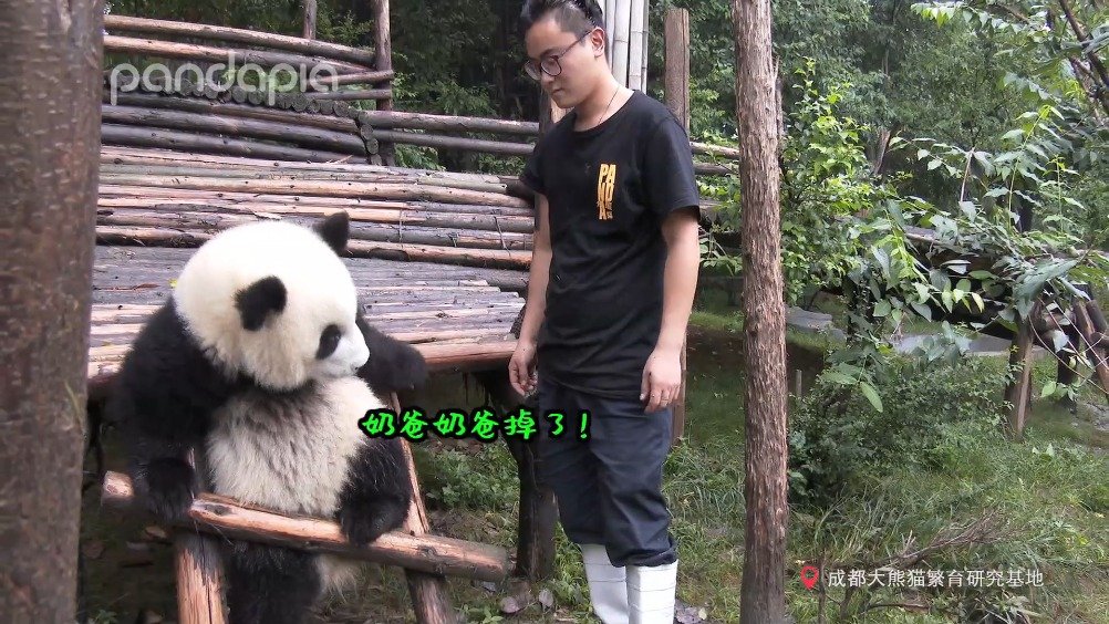 我都坐好了, 赶紧剥笋吧...